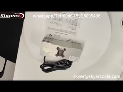 เซลล์เซ็นเซอร์ภาระของ ZEMIC L6G 500kg สําหรับชั่งเบนจ์บนแพลตฟอร์มน้ําหนักอุตสาหกรรม