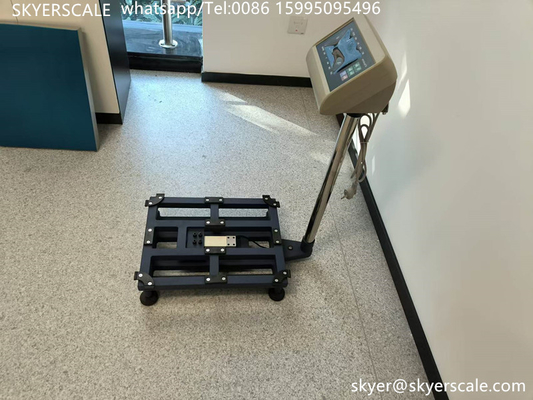 300 กิโลกรัม Platform Bench Scale เชื่อมต่อคอมพิวเตอร์ ด้วยราคา 232 บาท