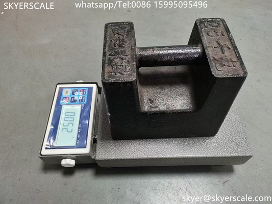 100 กิโลกรัม Logistic Digital Weighing Scale ความแม่นยําสูง Display การนับตารางบนบน Platform Scale
