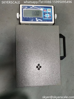100 กิโลกรัม Logistic Digital Weighing Scale ความแม่นยําสูง Display การนับตารางบนบน Platform Scale