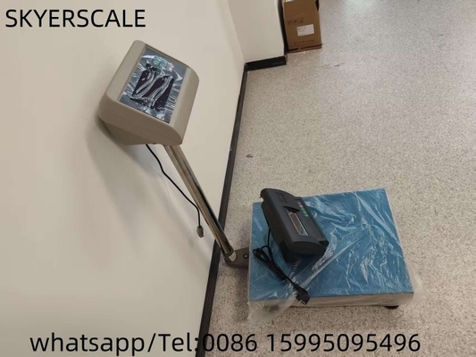 ราคาโรงงาน Calibration Digital Bench Scale น้ําหนัก 200 กิโลกรัม