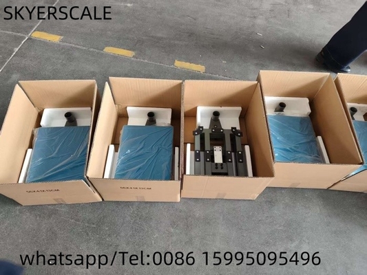 A12E Frame Digital Carbon Steel Platform Scale With Weighing Indicator Scale ระดับปลาตัวการ์บอนสแตล