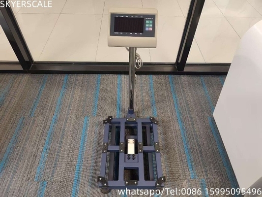 สแตนเลสคาร์บอนดิจิตอล 45x60cm 300kg Platform Scale Bench Scale With T7+E Weighing Indicator สแตนเลสคาร์บอนดิจิตอล 45x60cm 300kg Platform Scale Bench Scale With T7+E Weighing Indicator