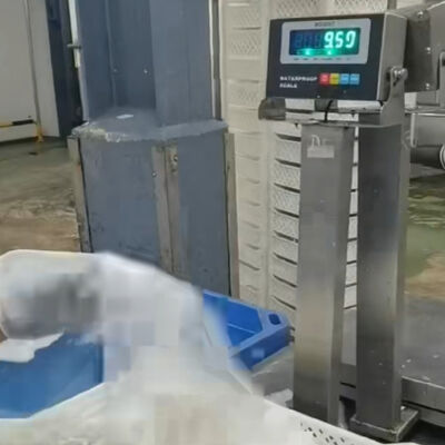 เครื่องชั่งแบบตั้งโต๊ะกันน้ำสแตนเลส 304 30x40ซม. 100กก